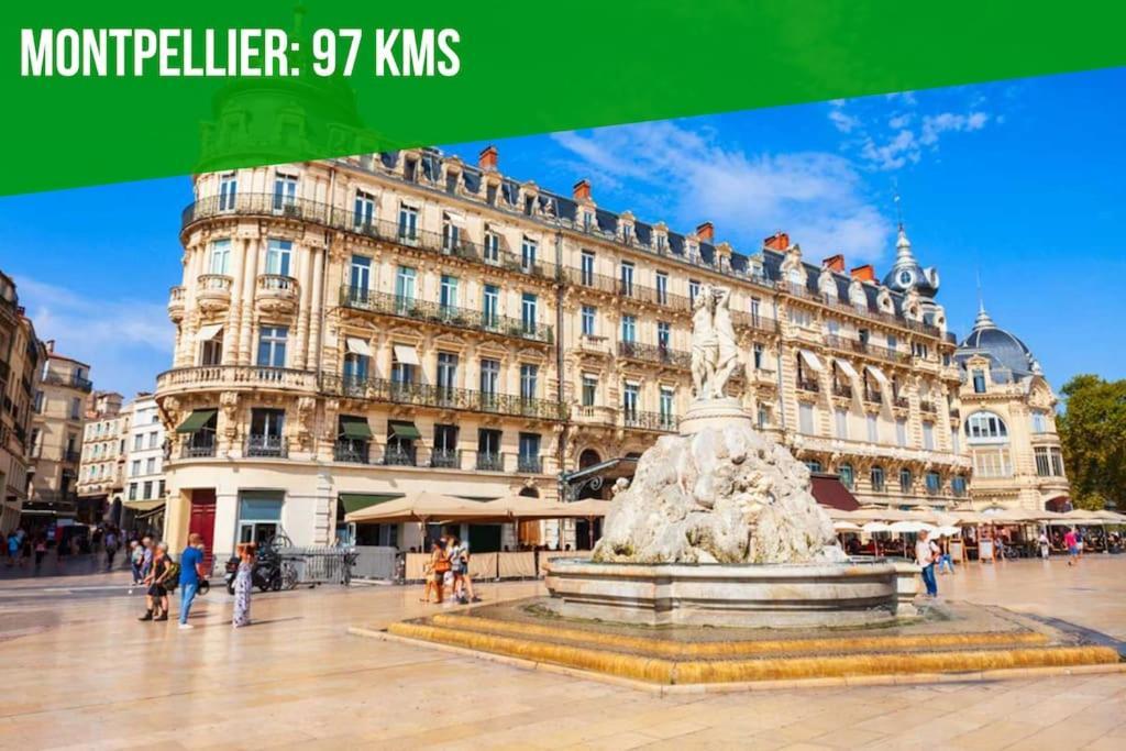 L'olivier - 2 Terrasses - Clim Ac - Wifi - Proche Theatres Apartment Avignon